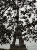 DSC01573.JPG