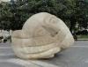 DSC01657.JPG