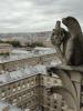 DSC01512.JPG