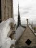 DSC01519.JPG
