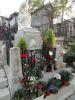 DSC01426.JPG