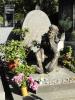 DSC01726.JPG