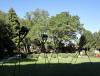 DSC03559.JPG