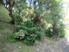 DSC03746.JPG