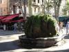 DSC03544.JPG