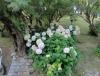 DSC03745.JPG