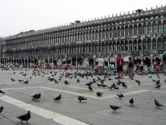 Венеция. Площадь Сан Марко