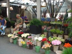Амстердам, цветочный рынок