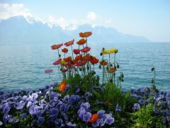 Женевское озеро французы называют Лак Леман. Швейцария, Монтре