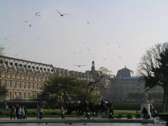 Париж. Сад тюильри - вид на лувр