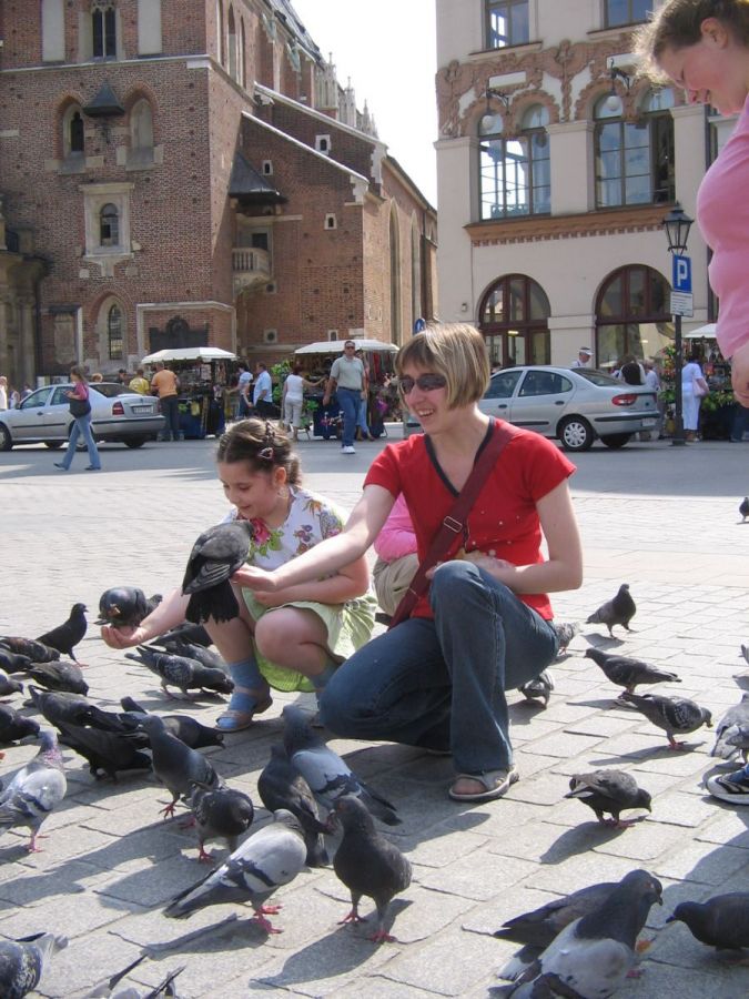 Венеция тонет, а голуби её теперь обосновались в Кракове...