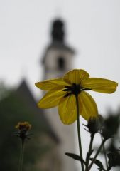 ...И наша жизнь похожа на цветок.... Приходская церковь Св. Анреаса. Китцбюэль. Австрия...