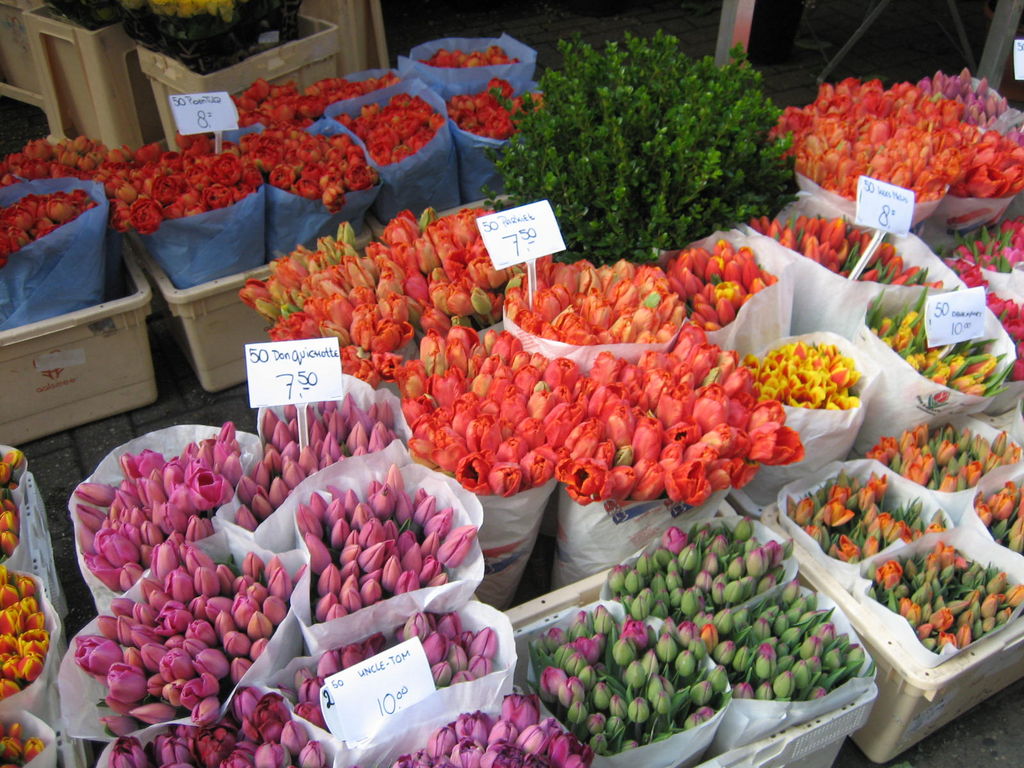 Сколько стоят тюльпаны на рынке. Рижский вокзал цветочный рынок. Розы Рижский рынок. Рижский рынок цветы. Тюльпаны на рынке.