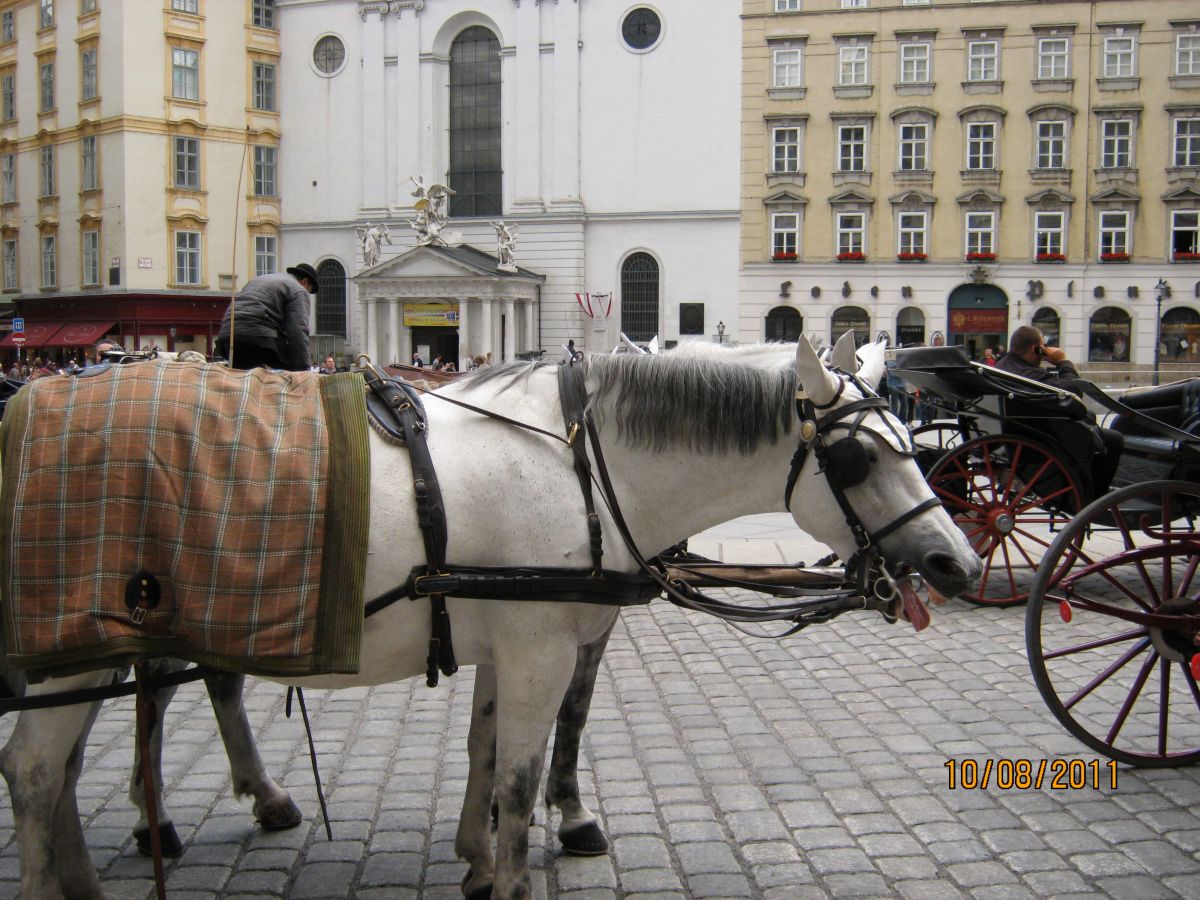 Венская лошадка