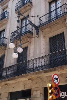 DSC01359.jpg
