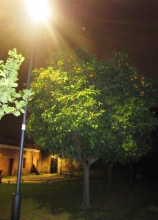 130_Rome_IMG_3108.JPG