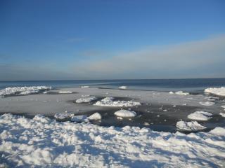 DSCN1303.JPG