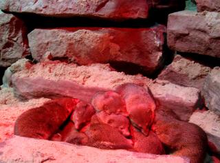 IMG_3267a.JPG