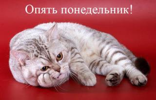 опять понедельник_____________________.jpg