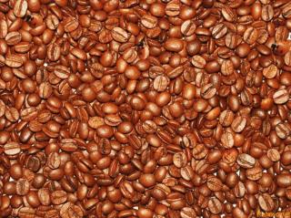 71263025_coffeefacesandladybugsopticalillusion.jpg