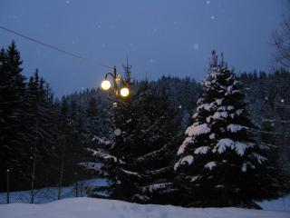 IMG_9339.jpg