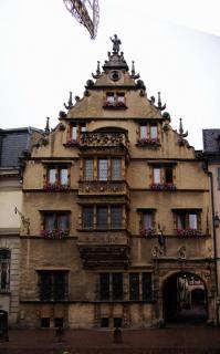 DSC01433.jpg