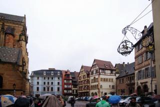 DSC01447.jpg
