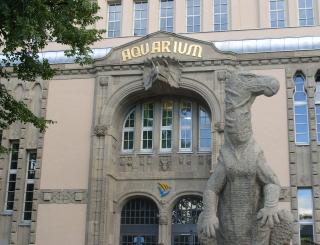 S1056878.jpg