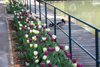 IMG_1117.JPG