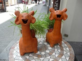 P1070004.JPG