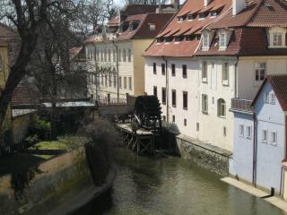 IMG_0559.JPG