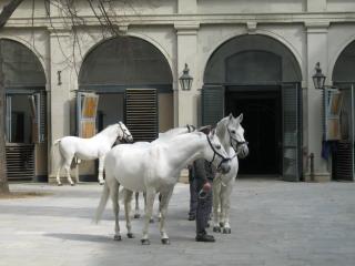 IMG_0483.JPG