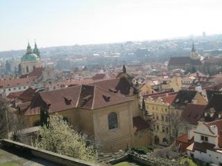 IMG_0536.JPG