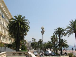 IMG_7117.jpg