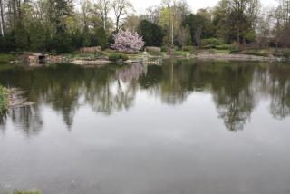 IMG_9430.JPG