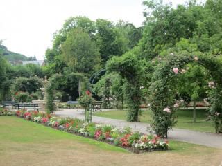 IMG_4436.JPG