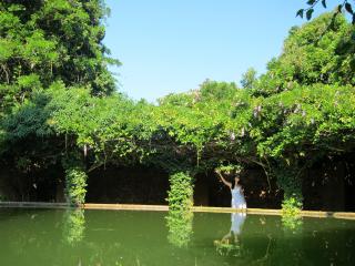 IMG_3471.JPG