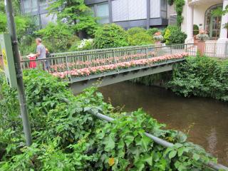 IMG_4875.JPG