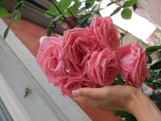 IMG_5048.JPG