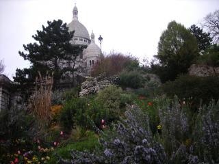 DSCN7371.JPG