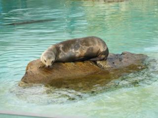 IMG_1435.JPG
