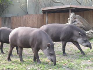 IMG_1415.JPG