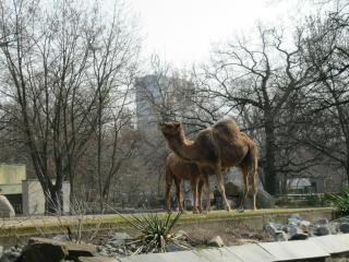 IMG_1423.JPG
