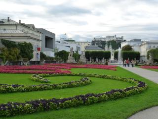 P1020540.JPG