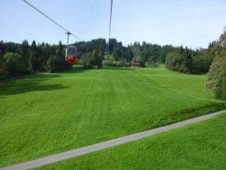 P1010390.JPG