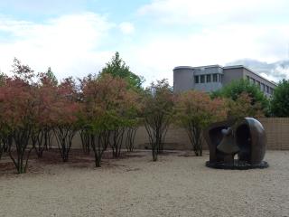 P1010031.JPG