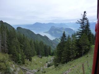 P1010516.JPG