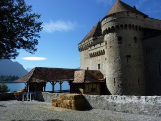 P1010774.JPG