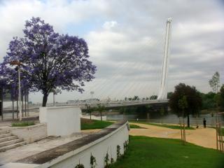 DSC02201_.jpg