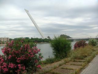 DSC02198_.jpg